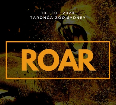 Roar img 01